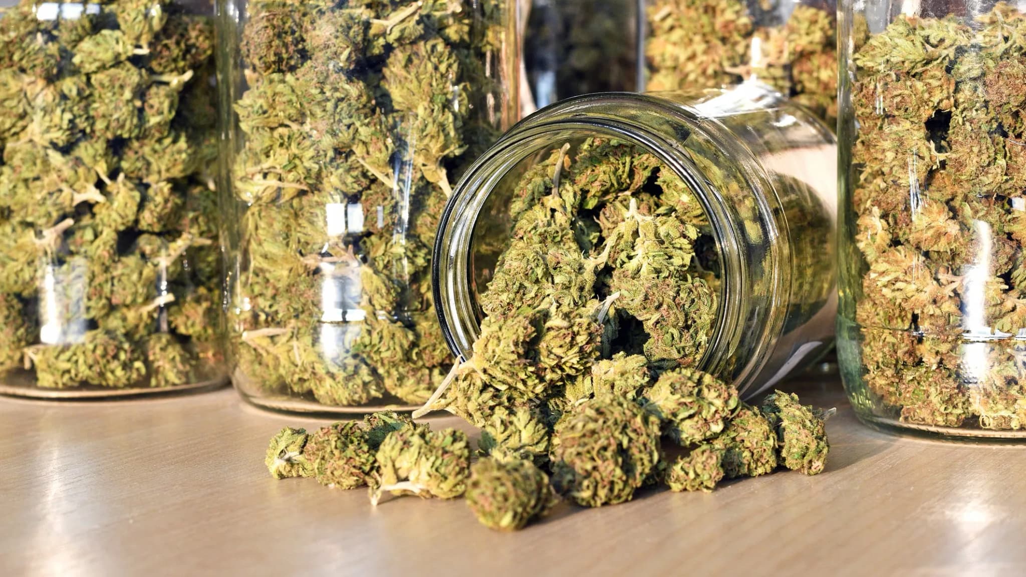 Cannalope Haze: Saftige Aromen und dunstige Abenteuer erwarten Dich