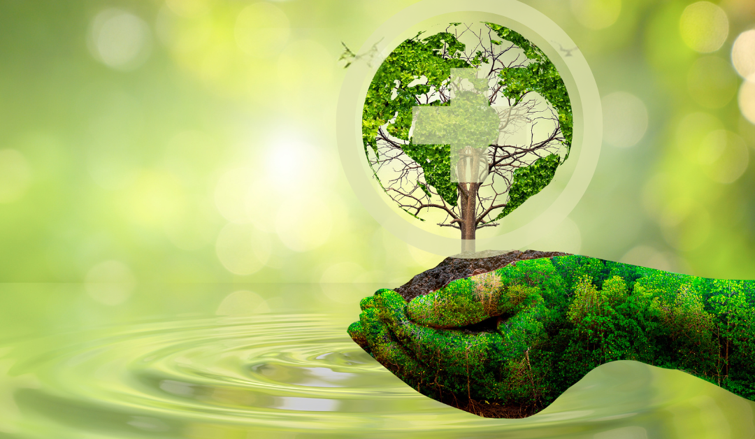 Zukunft mit Master in Sustainability Management: Karrierechancen und Perspektiven