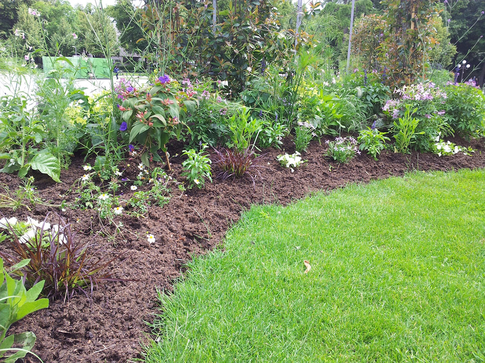 Gartenbau: So realisieren Sie Ihr Gartenbauprojekt effizient und kostengünstig