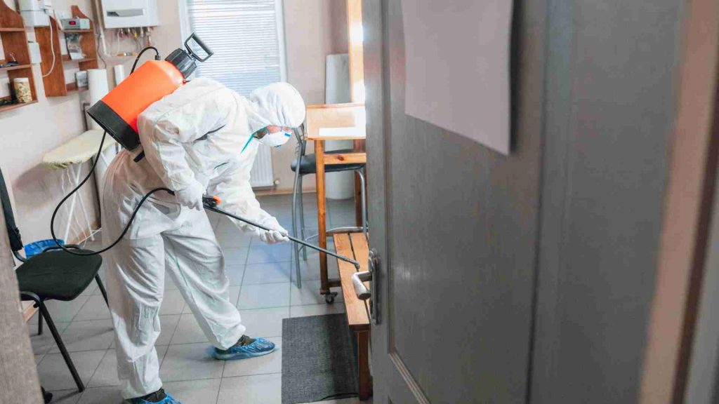 24/7 erreichbar: Kammerjäger in der Nähe hilft bei jedem Schädlingsproblem