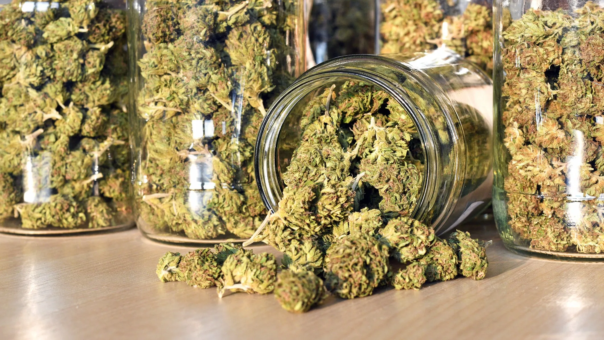 Cannalope Haze: Saftige Aromen und dunstige Abenteuer erwarten Dich