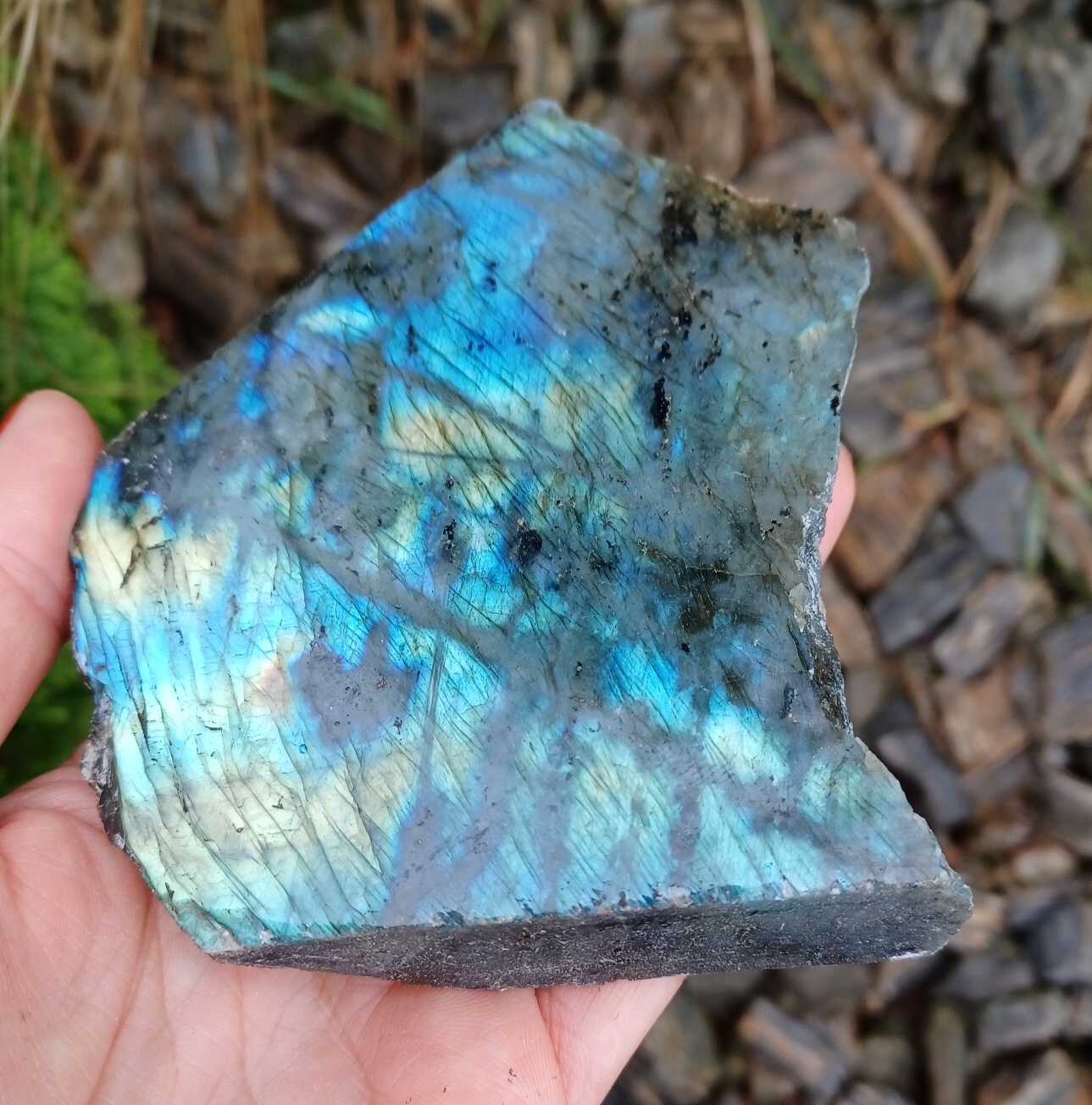 Entdecke innere Weisheit mit labradorit bei CrystalScents